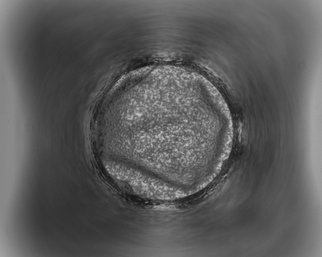 X0000096210961200802151458