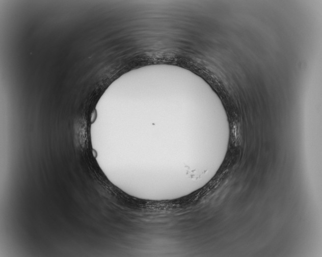 X0000096210963200802151458