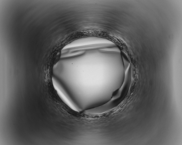 X0000096210965200802151458