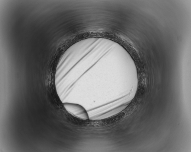 X0000096210966200802151458