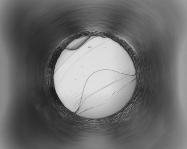 X0000096210968200802151458