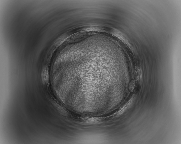 X0000096210969200802151458