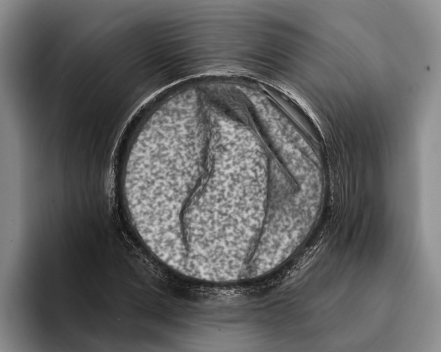 X0000096210975200802151458