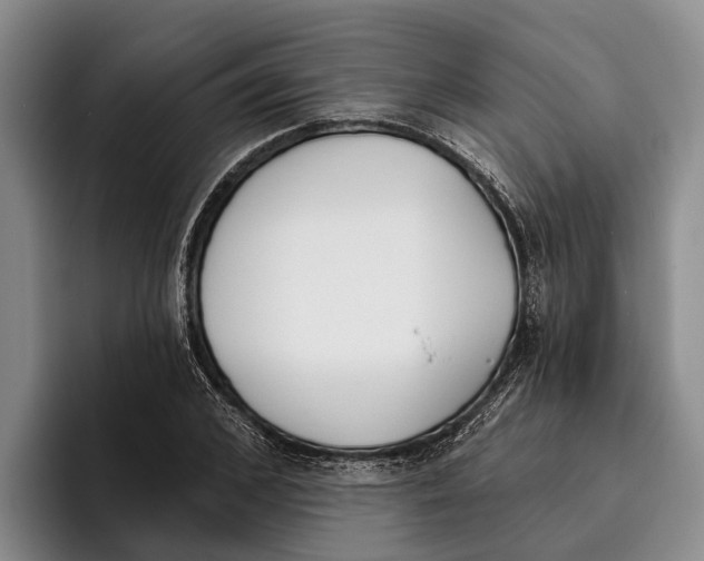 X0000096210976200802151458