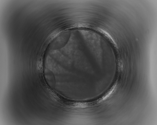 X0000096210977200802151458