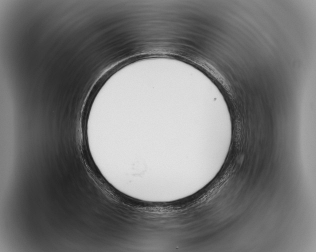 X0000096210980200802151458