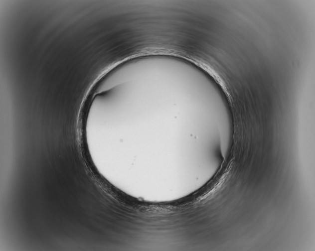 X0000096210981200802151458