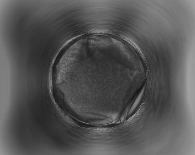 X0000096210984200802151458