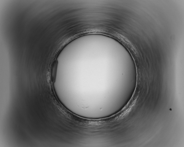 X0000096210985200802151458