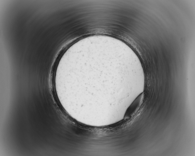 X0000096210987200802151458