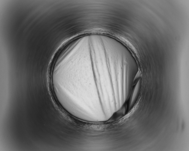 X0000096210989200802151458