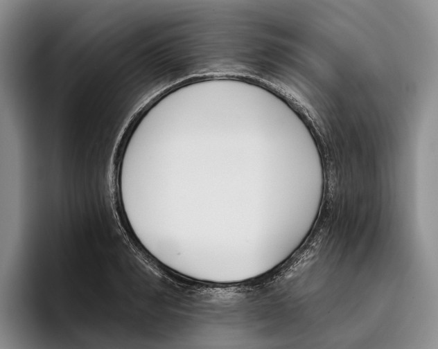 X0000096210990200802151458