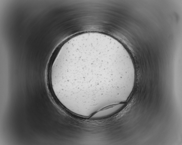 X0000096210991200802151458