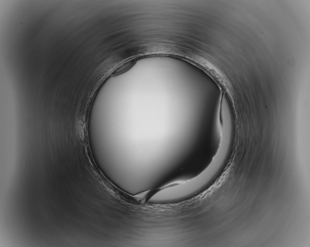 X0000096210993200802151458