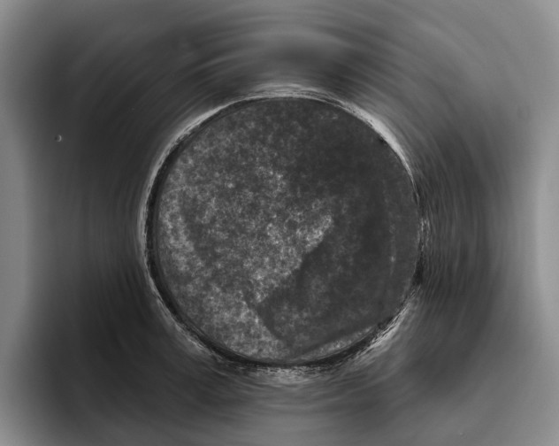 X0000096210995200802151458