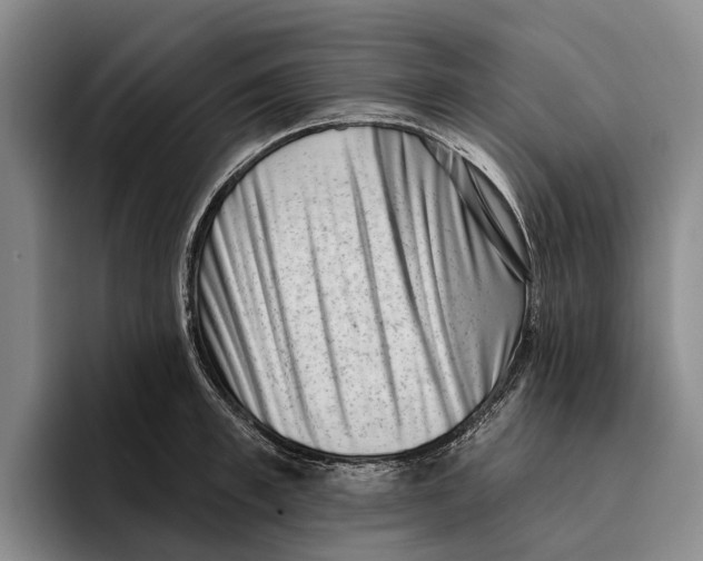 X0000096210997200802151458