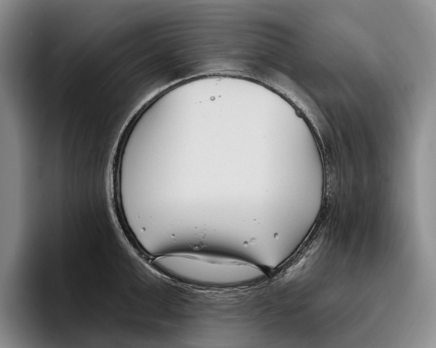 X0000096210999200802151458