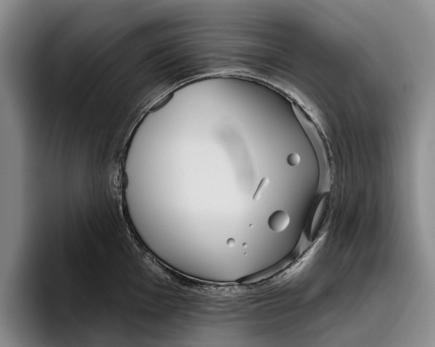 X0000096211001200802151458