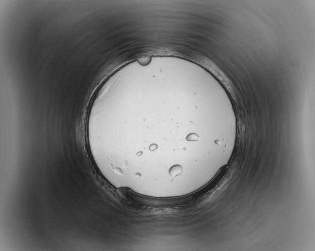 X0000096211002200802151458