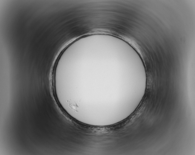 X0000096211003200802151458