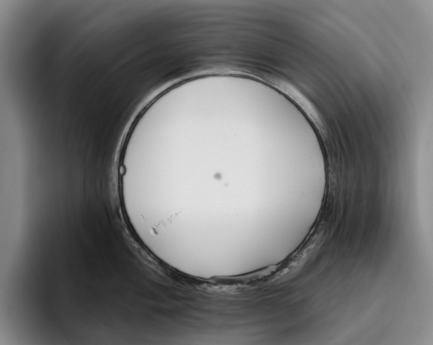 X0000096211004200802151458