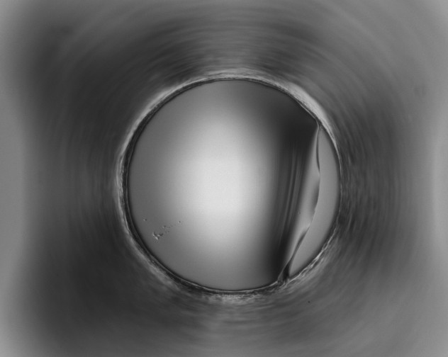 X0000096211005200802151458