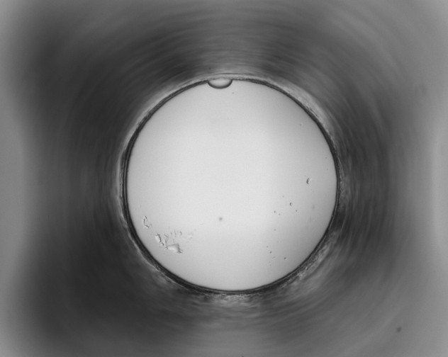 X0000096211006200802151458