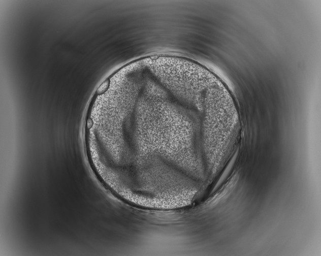 X0000096211007200802151458