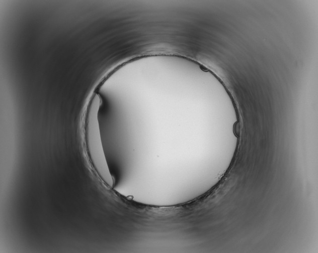 X0000096211008200802151458