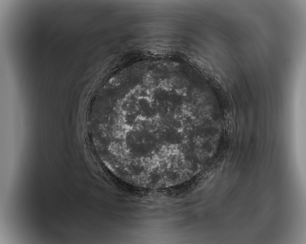 X0000096211009200802151457