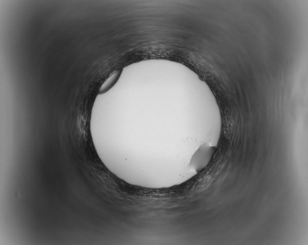 X0000096211010200802151457