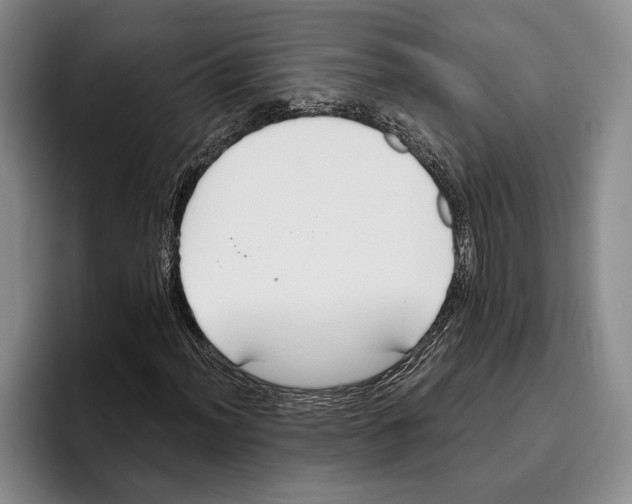 X0000096211012200802151457