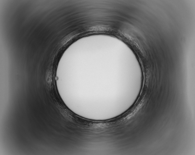 X0000096211017200802151457