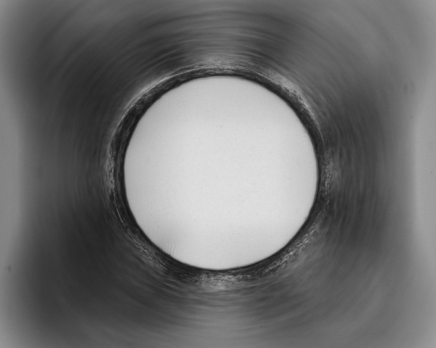 X0000096211019200802151457