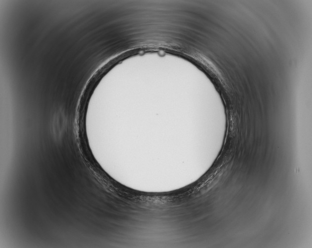 X0000096211020200802151457