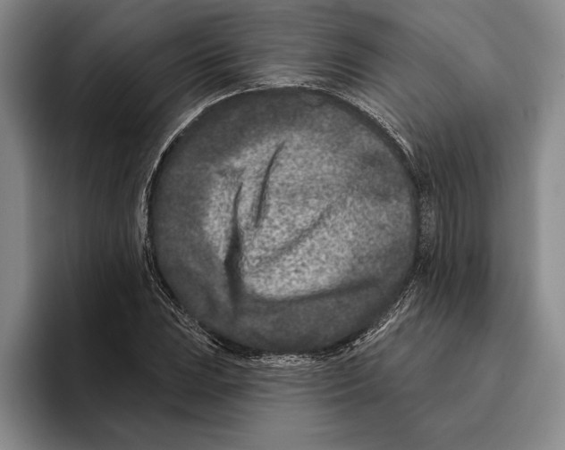 X0000096211023200802151457