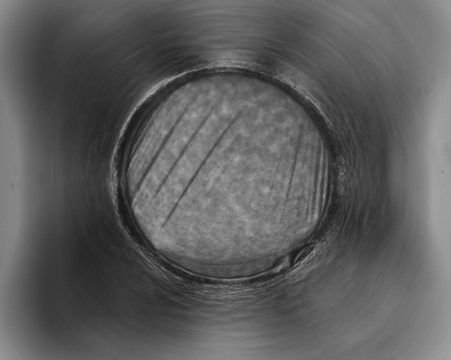 X0000096211024200802151457