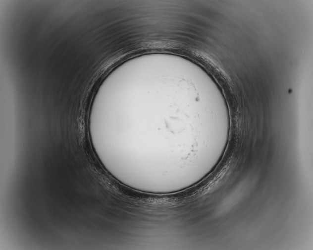 X0000096211025200802151457