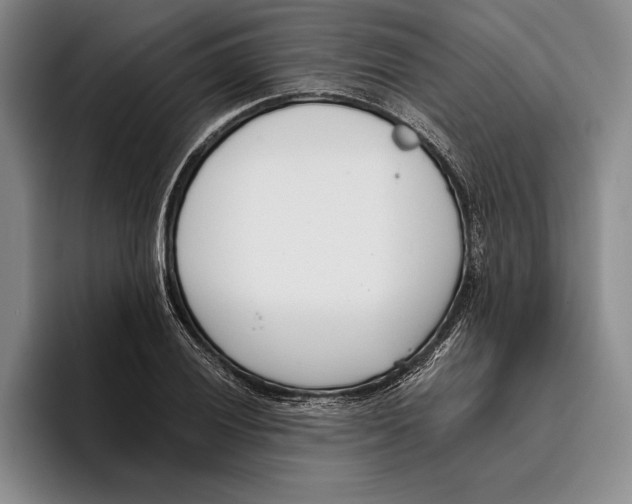 X0000096211028200802151458