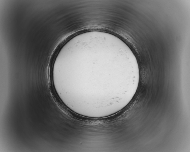 X0000096211030200802151458