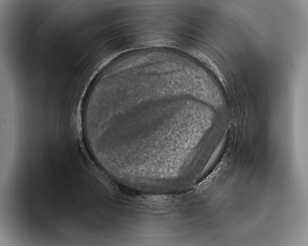 X0000096211031200802151458