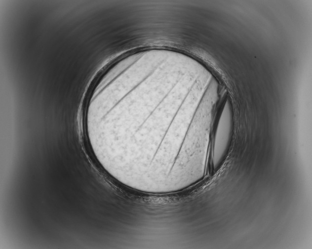 X0000096211032200802151458