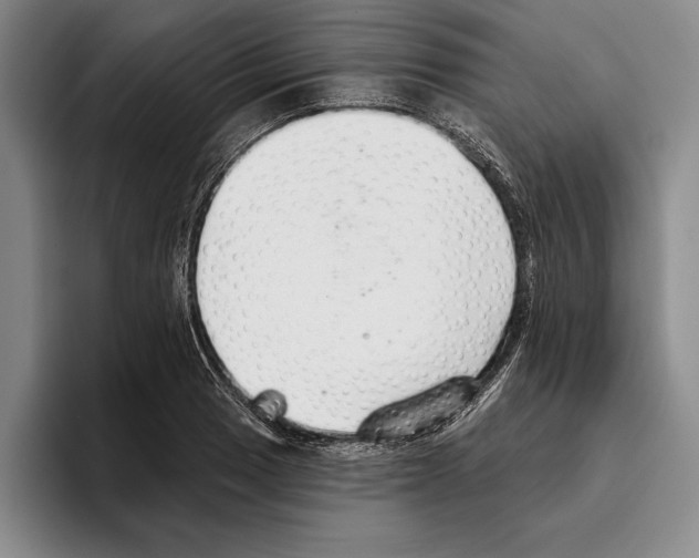 X0000096211033200802151458