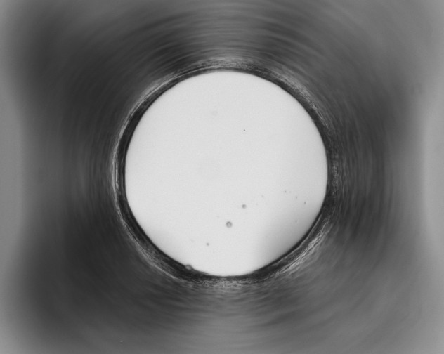 X0000096211034200802151458