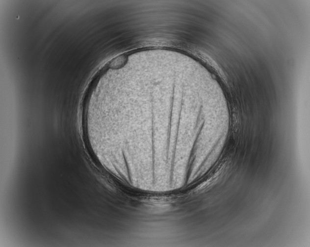 X0000096211035200802151458