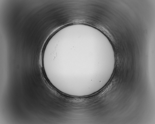 X0000096211036200802151458