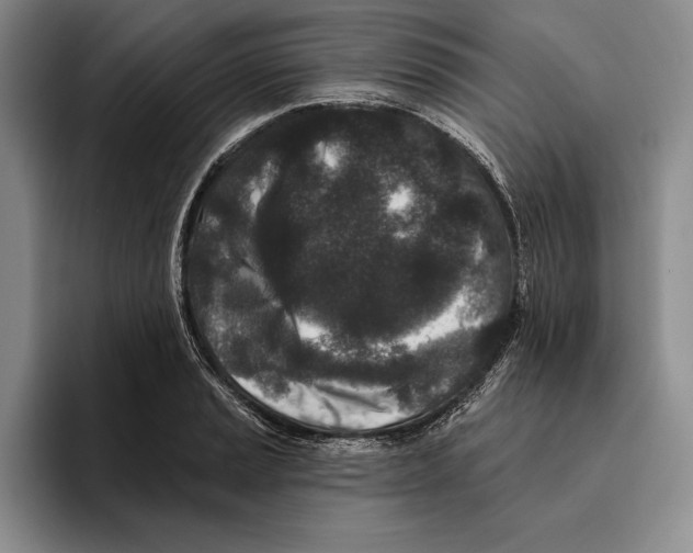 X0000096211037200802151458