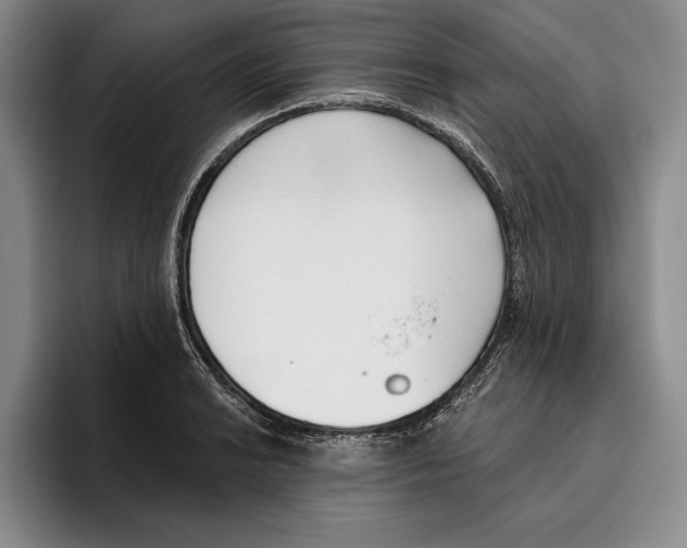 X0000096211038200802151458