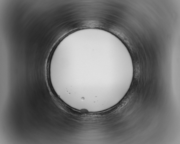 X0000096211039200802151458