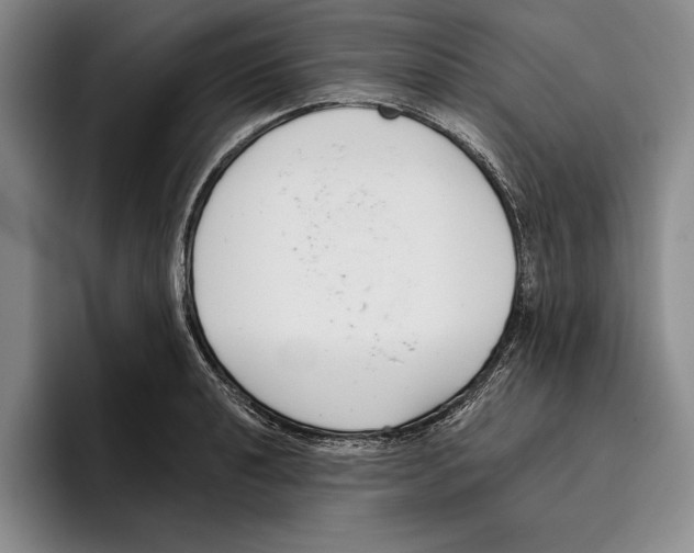 X0000096211040200802151458